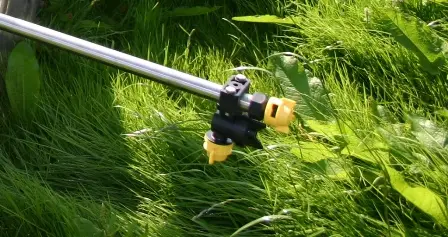 hedge nozzle- web small